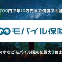 300-250mobile-hoken